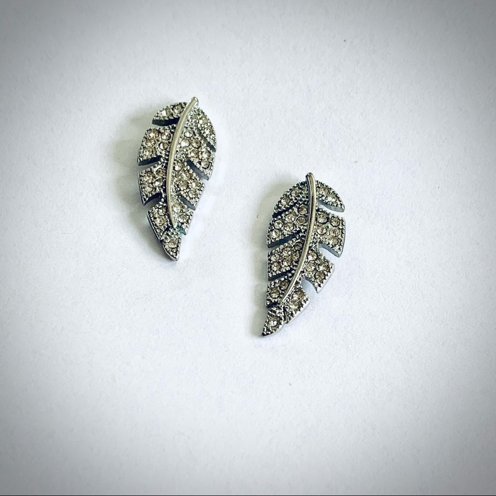 🥰 Banana Republic Earrings